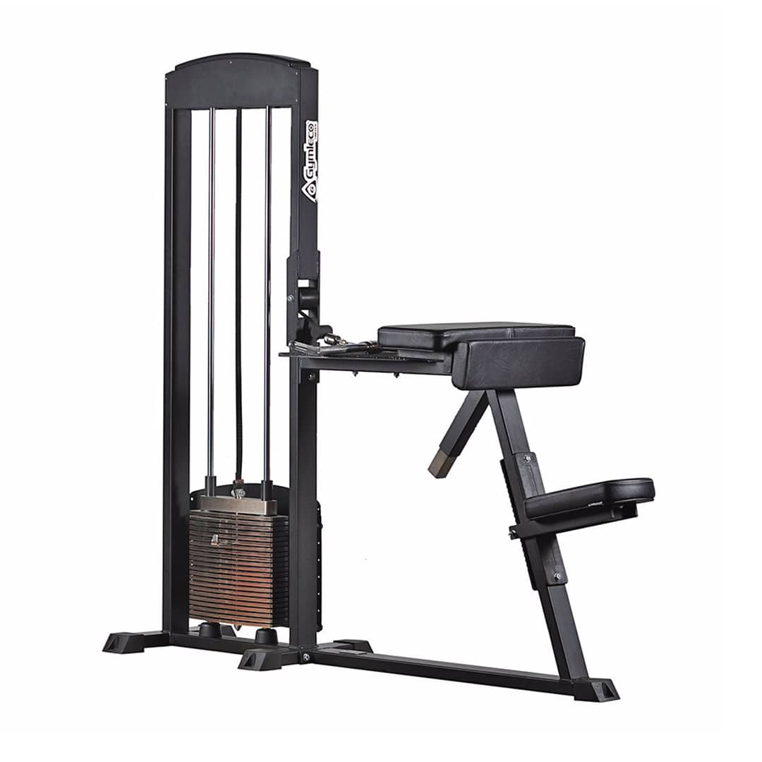 255 Biceps Curl/Triceps Extension cable machine from Gymleco