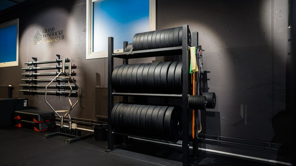 Storage for weight plats and dumbbells from Gymleco