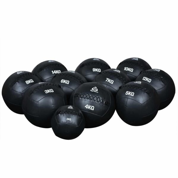 wall balls 2-14kg gymleco
