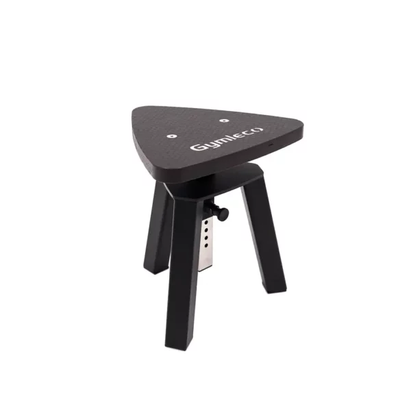 Gymleco gym step stool that is adjustable low setting