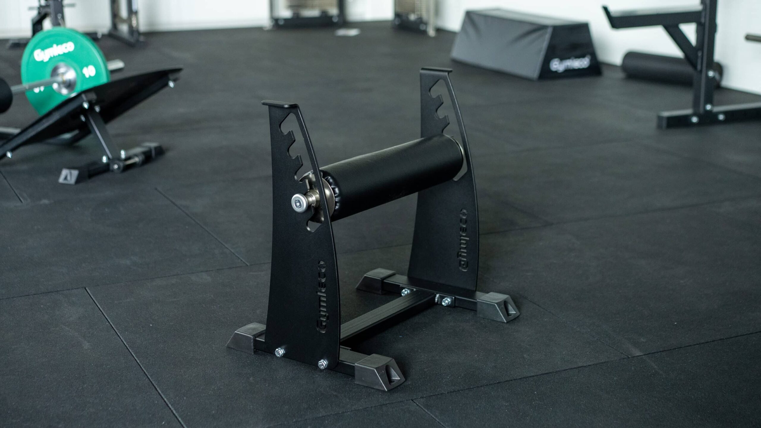 893 split squat bench in gym