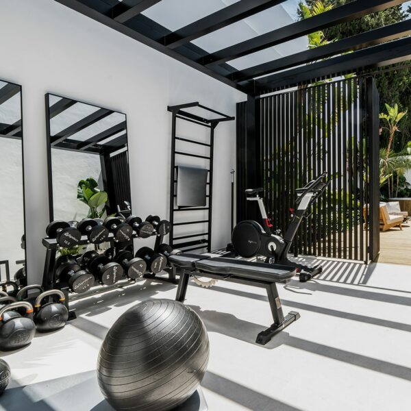 Wall bars from Gymleco in a luxorius home gym