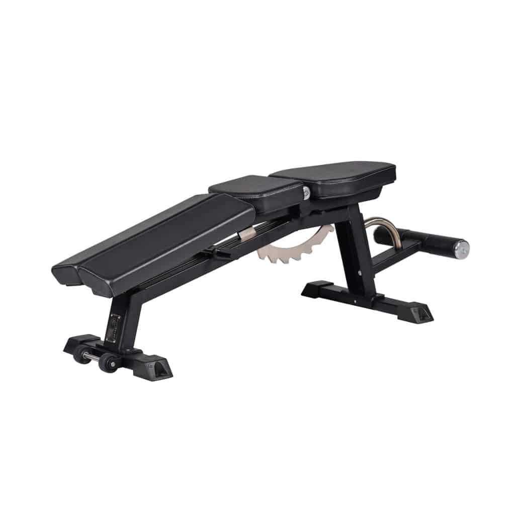 Adjustable Dumbbell Exercise Bench